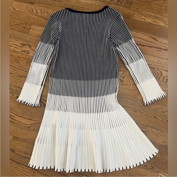 Dainty Hooligan Pleated Striped Knit Dress - Picture 4 of 7